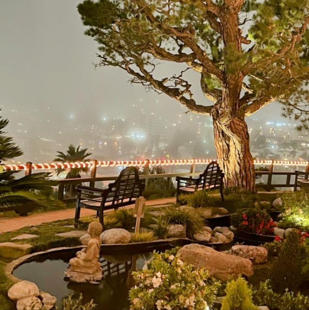 Meet your Posher, Belsy